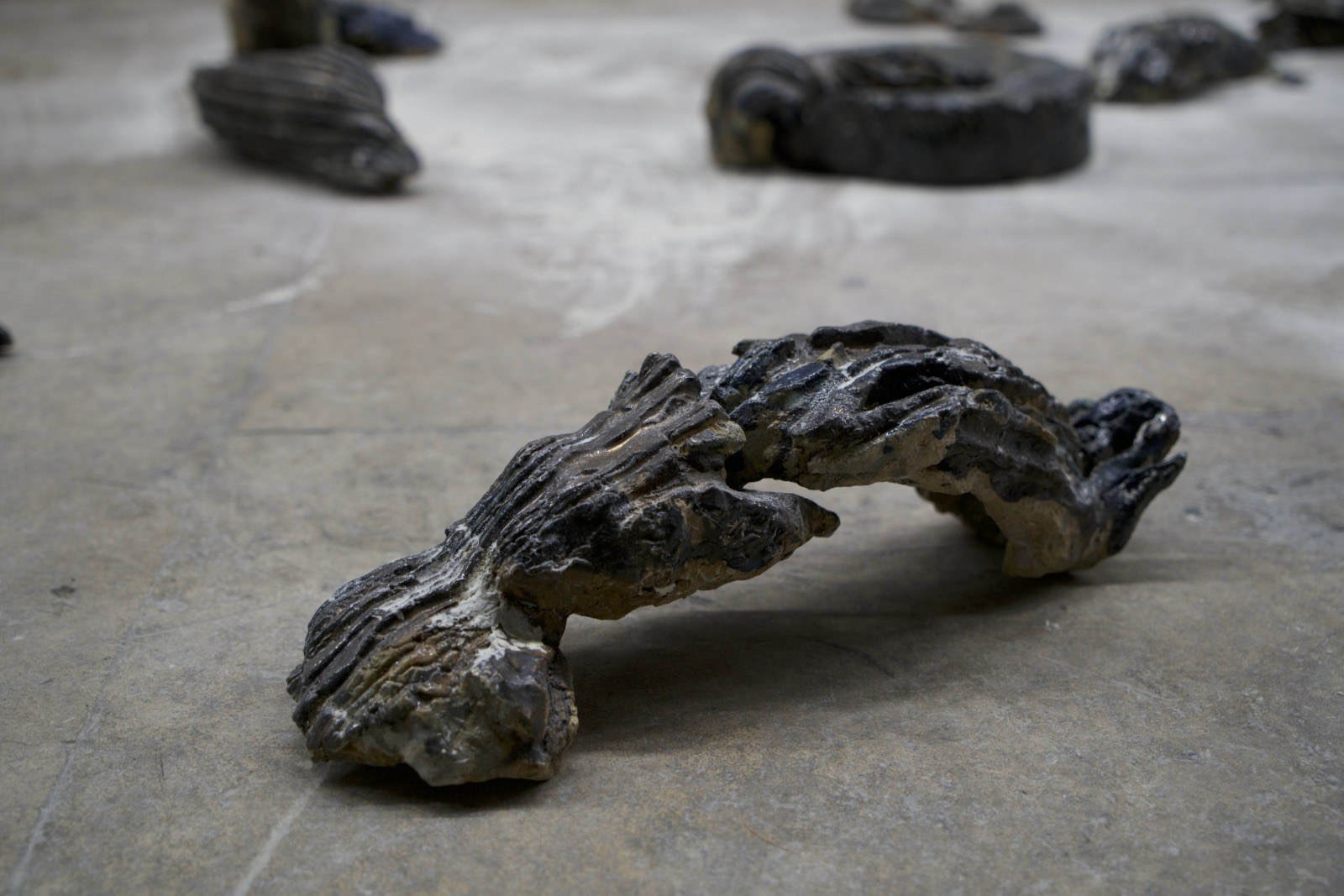 When the desert reclaims , 2025 — Installation — Gaspar Aveta