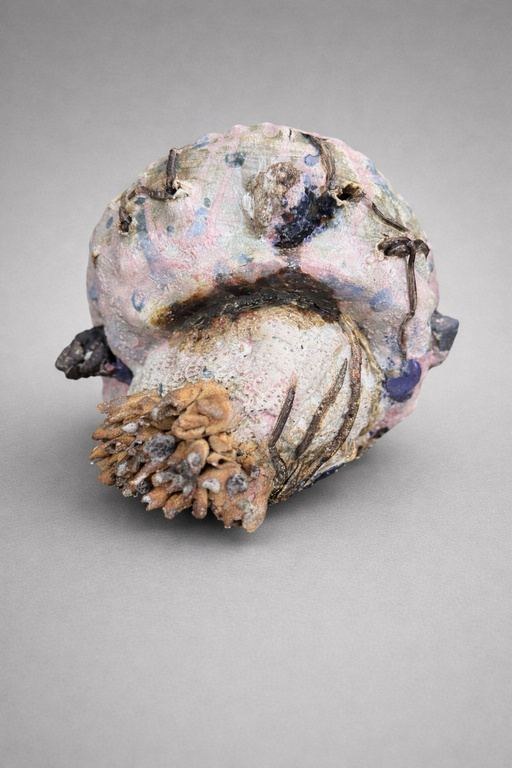 Fossil seed, 2026 —  — Gaspar Aveta