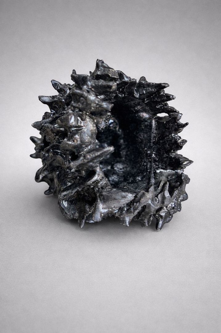 Fossil seed 2, 2026 —  — Gaspar Aveta